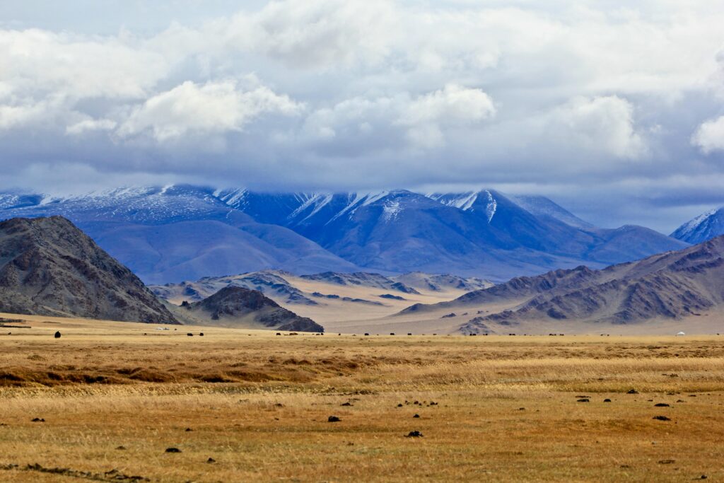 why 99.7% of mongolia is completely empty